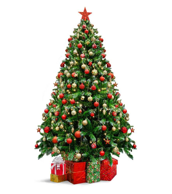 A beautifully decorated Christmas tree  | Christmas World