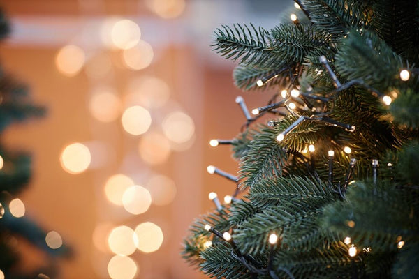 Close-up of an artificial Christmas tree with bokeh effect  | Christmas World