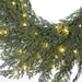 Cypress Pre-Lit LED Wreath Thumbnail | Christmas World