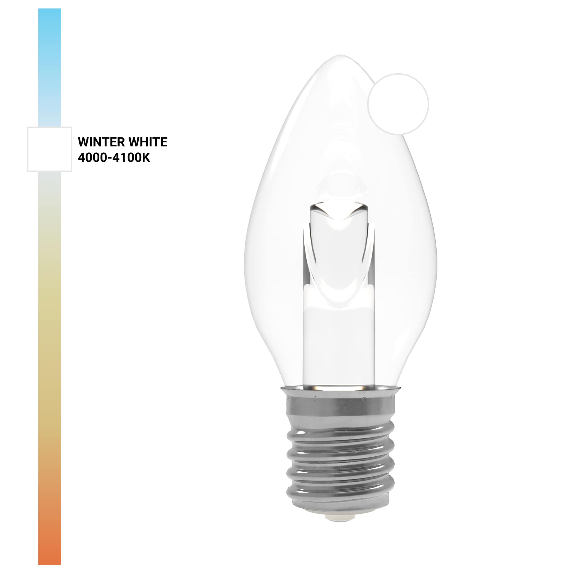 Projector Series™ LED Bulbs (Box of 25) - Christmas World