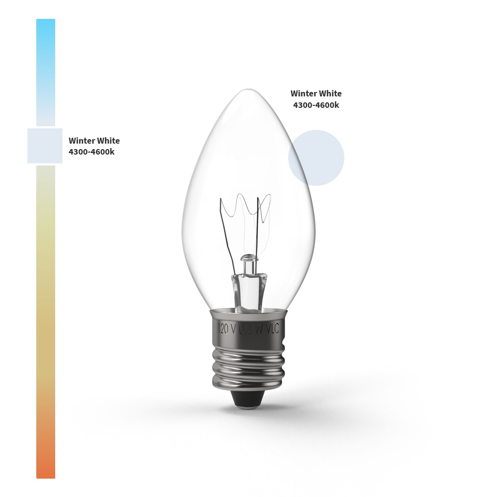 Transparent Incandescent Bulbs - Christmas World