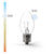 Super C9_Transparent Incandescent Bulbs  |  Christmas World