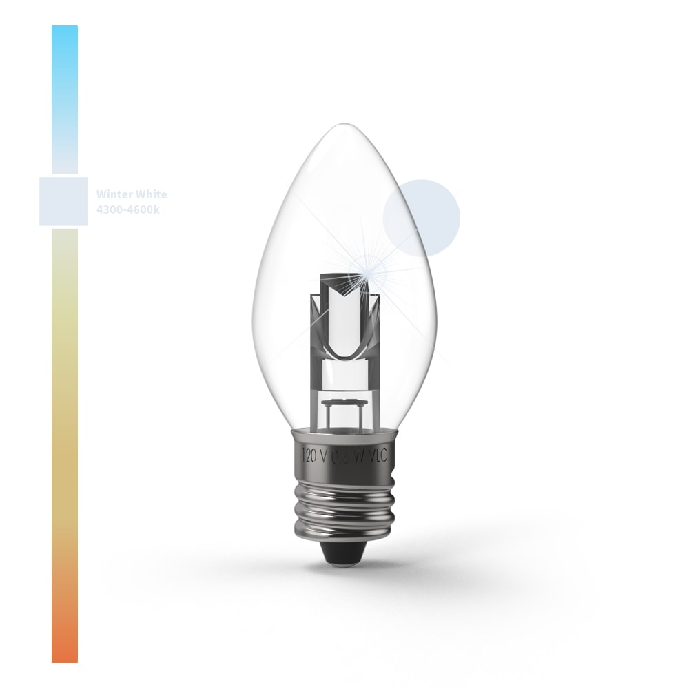 Projector Series™ LED Bulbs (Box of 25) - Christmas World