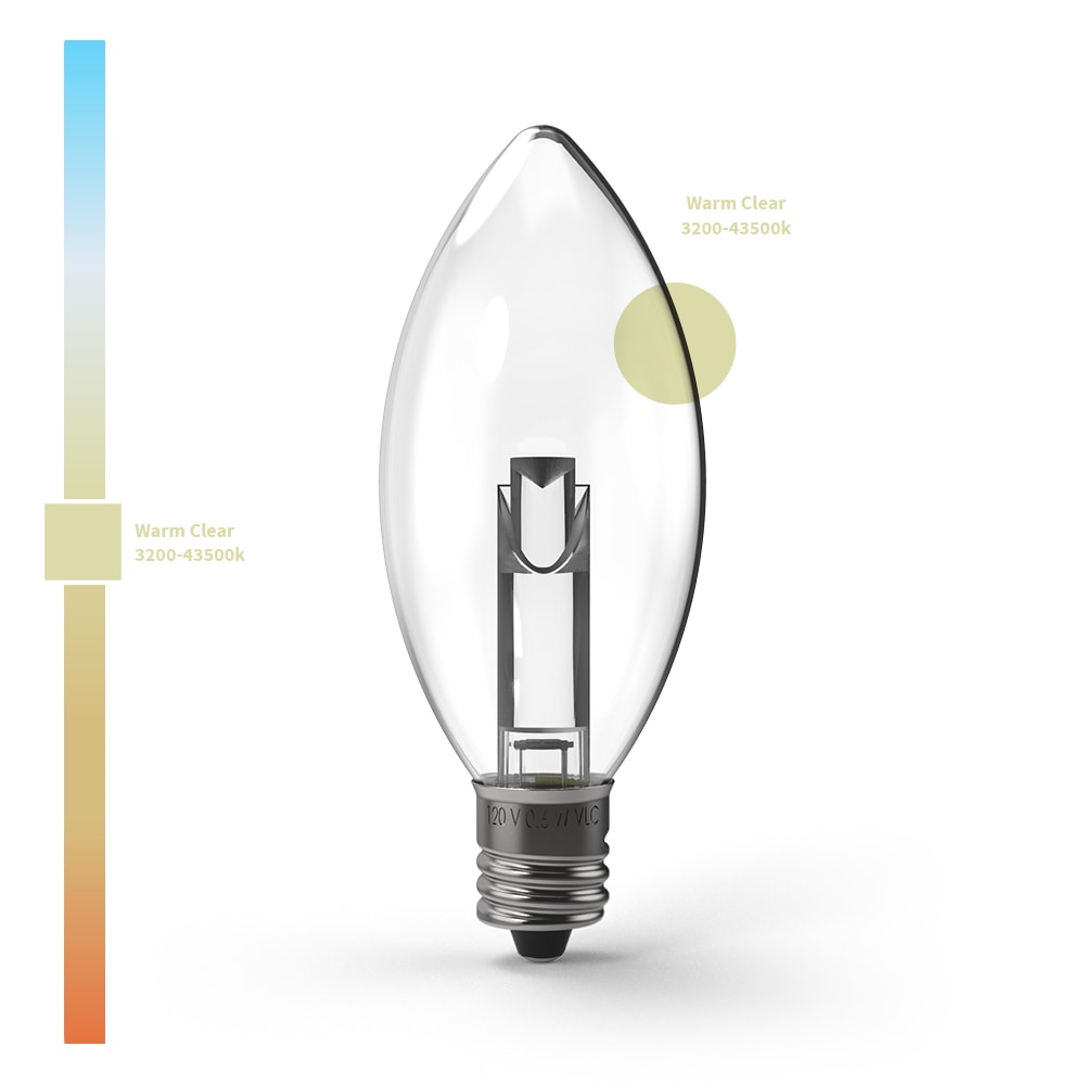 Projector Series™ LED Bulbs (Box of 25) - Christmas World