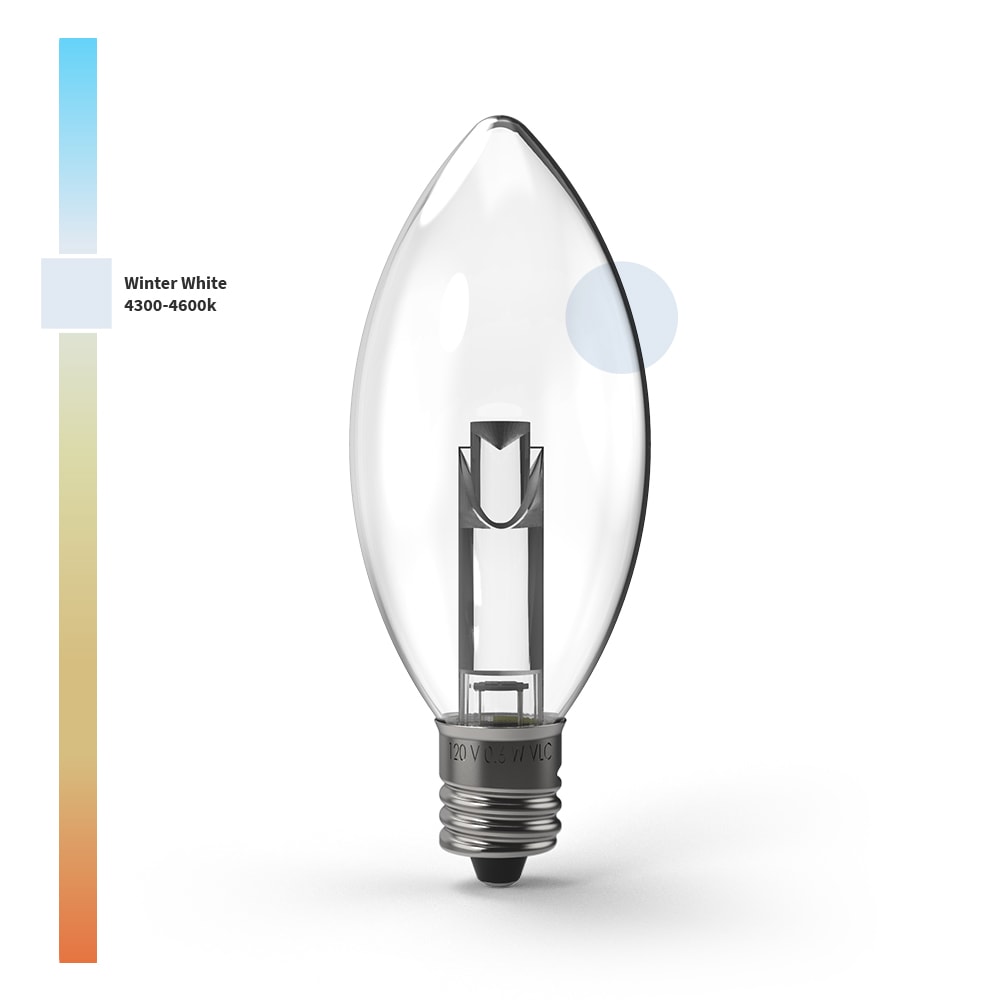 Projector Series™ LED Bulbs (Box of 25) - Christmas World