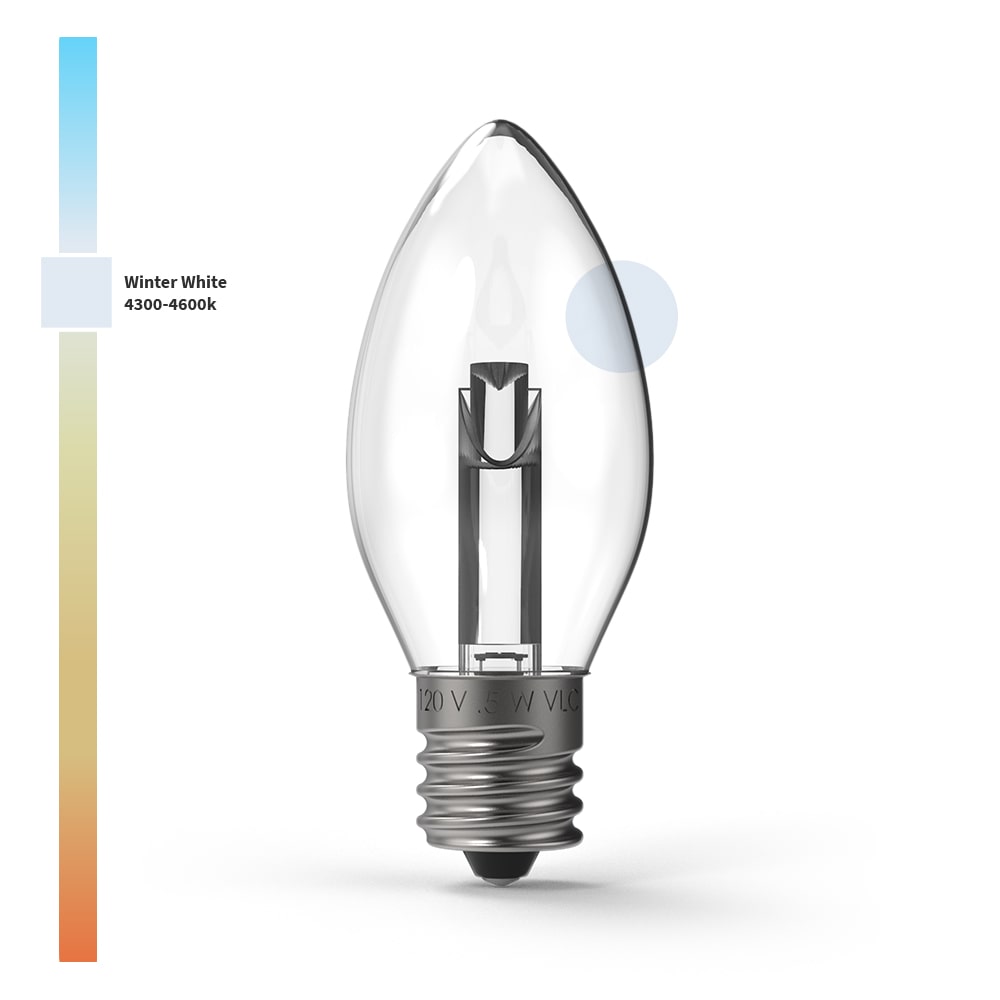 Projector Series™ LED Bulbs (Box of 25) - Christmas World