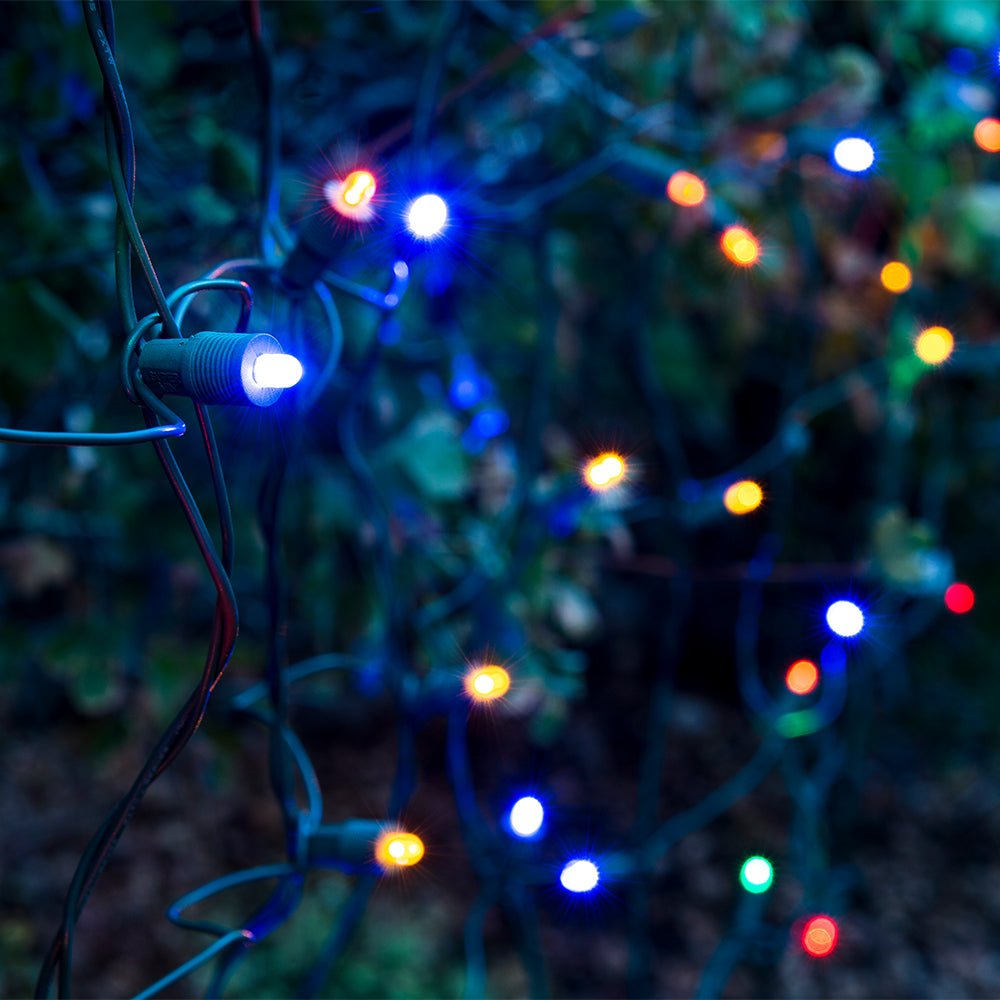 Christmas LED Net Lights - Christmas World