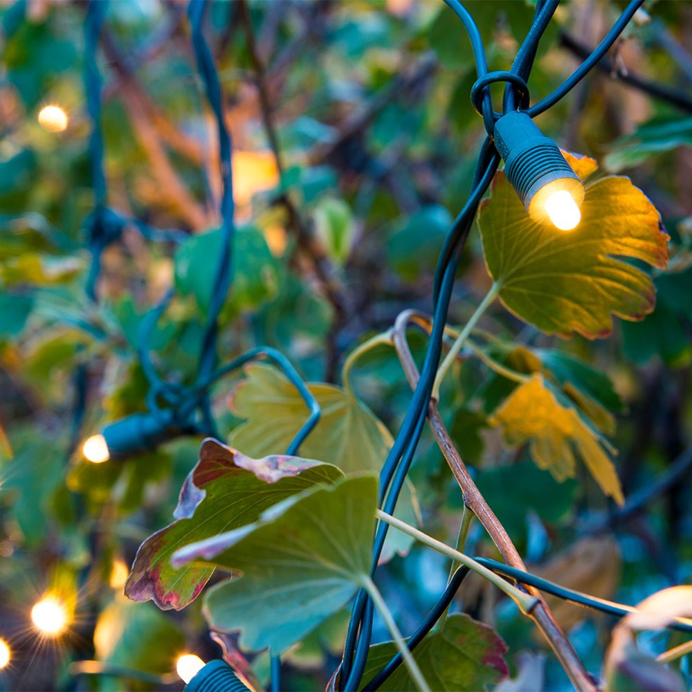 Christmas LED Net Lights - Christmas World