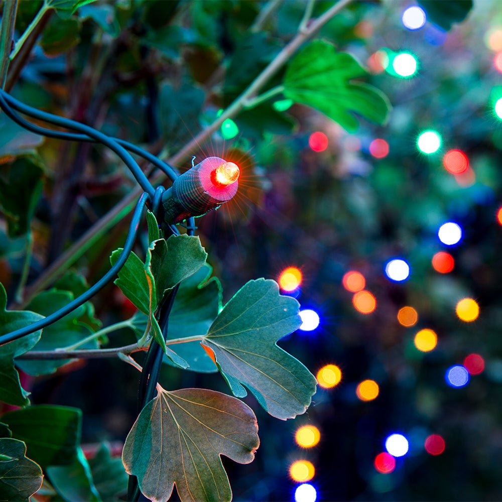 Christmas LED Net Lights - Christmas World