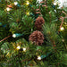 Garland_Black Forest LED  9' Garland  |  Christmas World Thumbnail | Christmas World