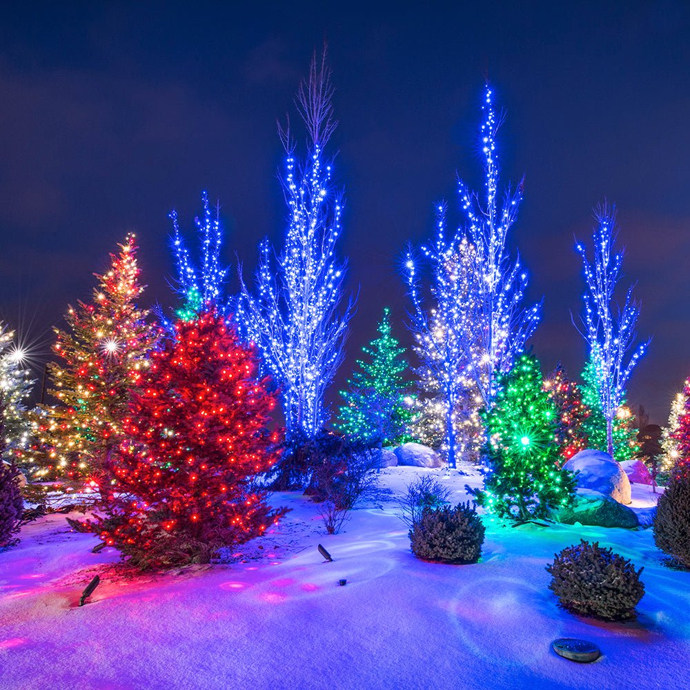 LED Mini String of Lights - Christmas World