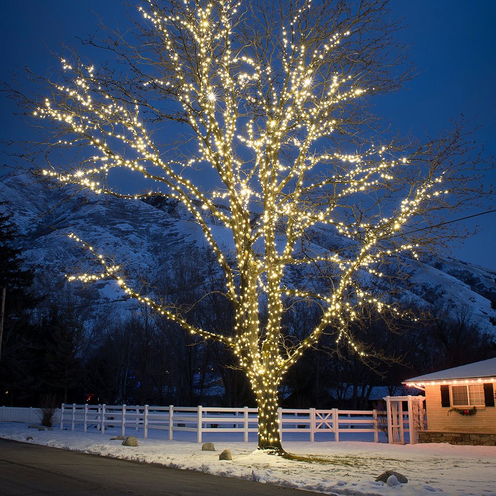 LED Mini String of Lights - Christmas World