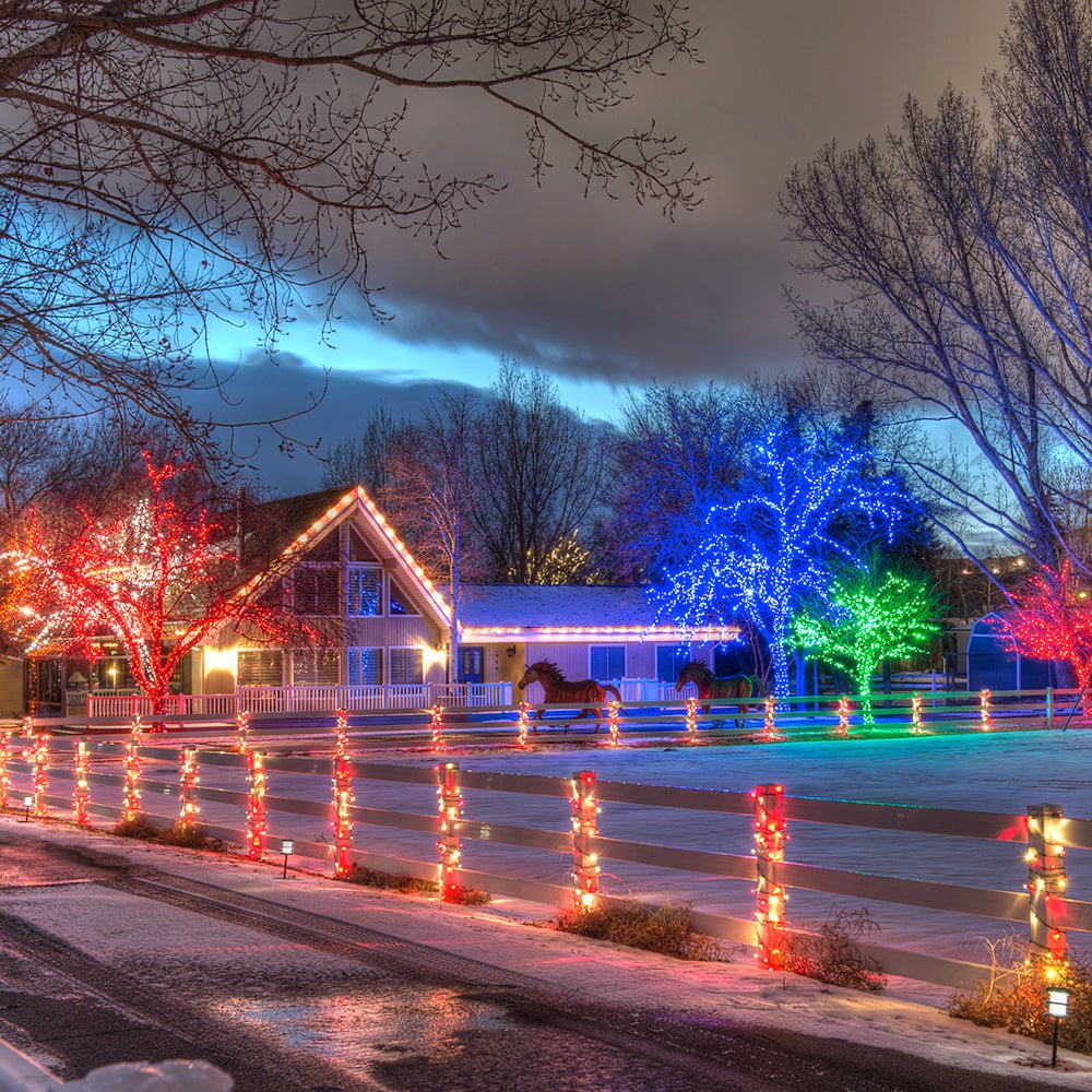 LED Mini String of Lights - Christmas World