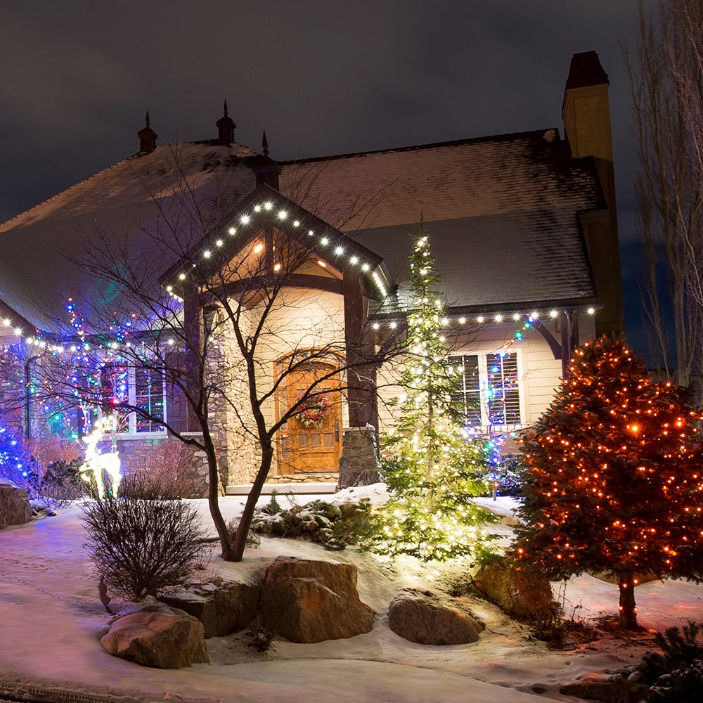 LED Mini String of Lights - Christmas World