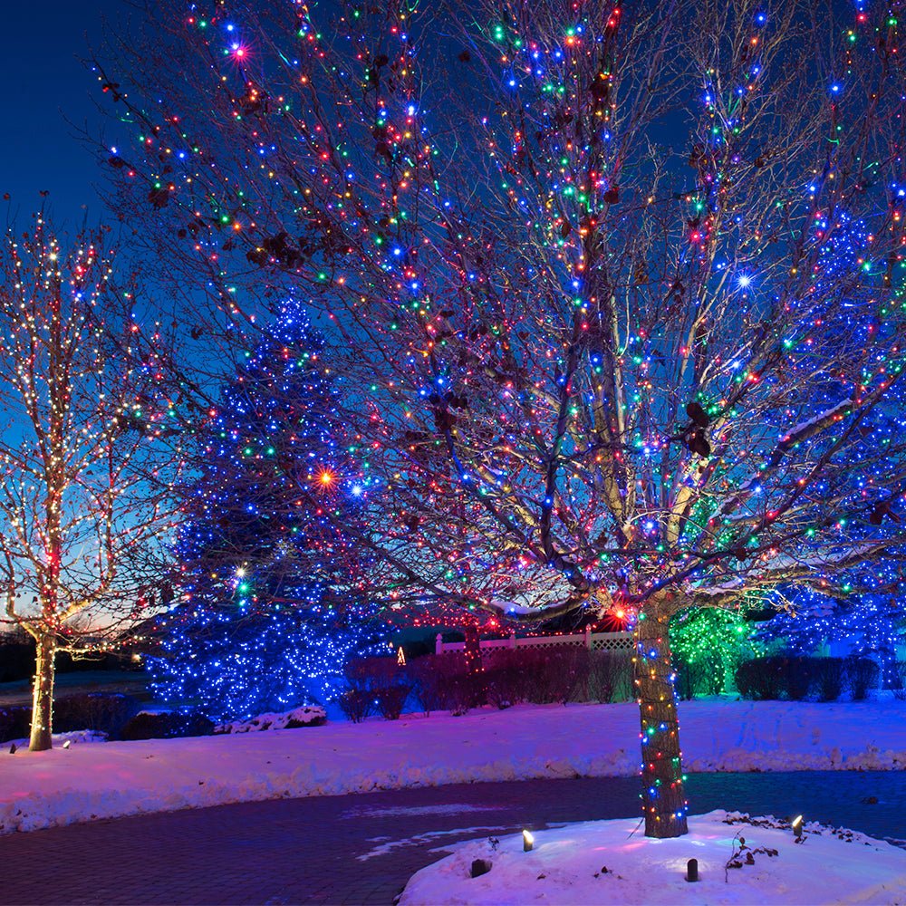 LED Mini String of Lights - Christmas World